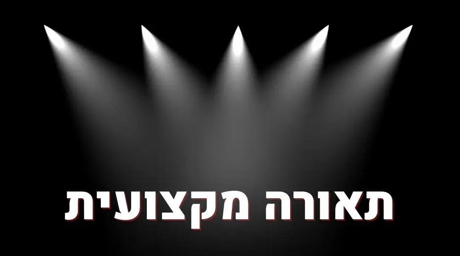 תאורה מקצועית